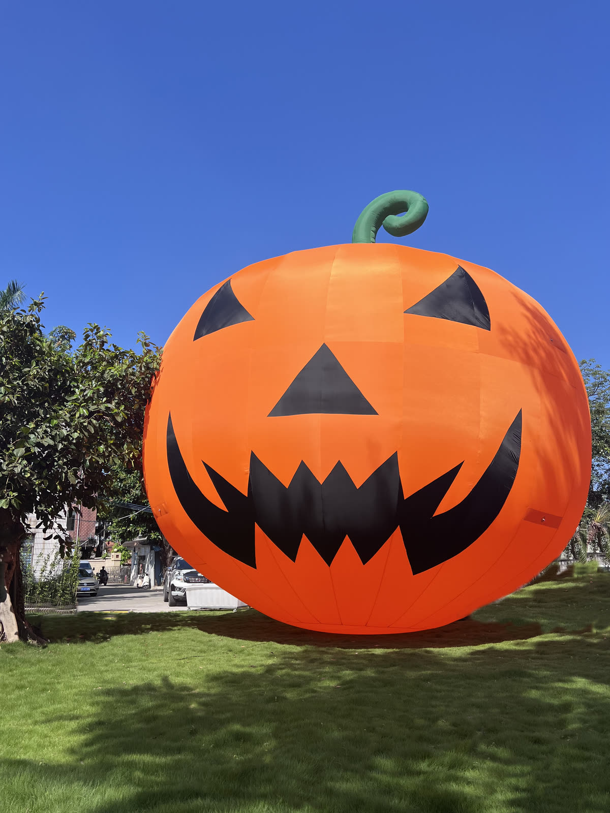 OZIS inflatable Halloween yard decoration
