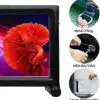 OZIS 16FT Airtight Inflatable Movie Screen